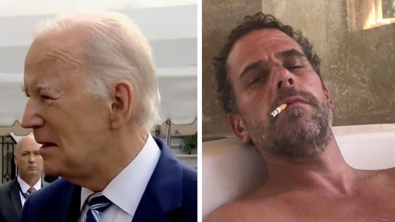 Hunter Biden believed IRS investigation would 'go away' once Joe took office: House Ways and Means Committee