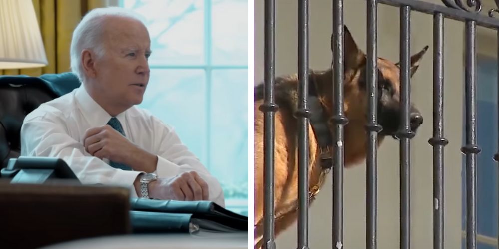 Biden's dog Commander attacked 7 people in 4 months