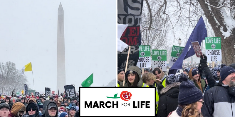 March for Life brings thousands to DC despite frigid weather