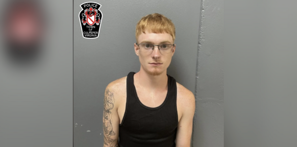 Virginia man arrested after 'intentionally' driving SUV into crowd at ‘No Kings’ protest: police