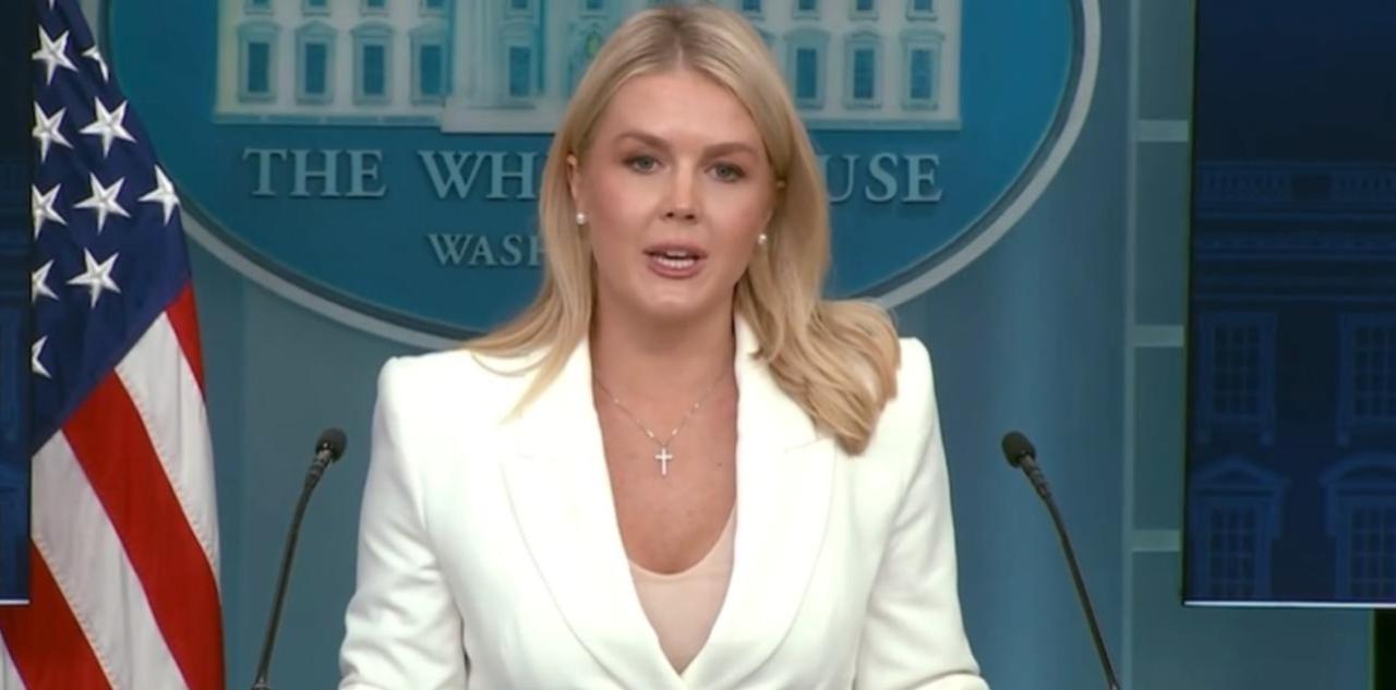 White House slams CNN reporter Natasha Bertrand for being 'used' by enemies of President Trump