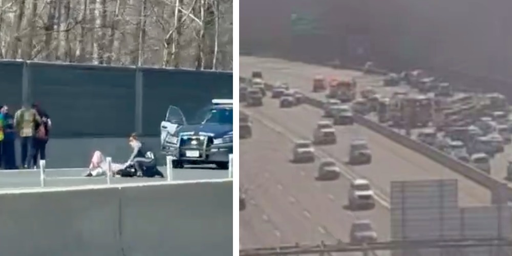 Virginia stabbing suspect who murdered woman, dog on I-495 identified as Jared Llamado