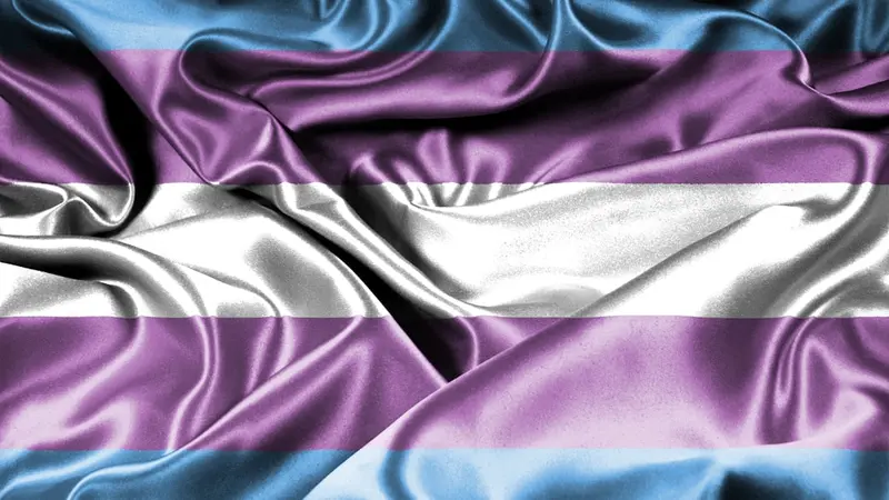 Parents fight secret gender transitions of their children from mid-Atlantic to Supreme Court