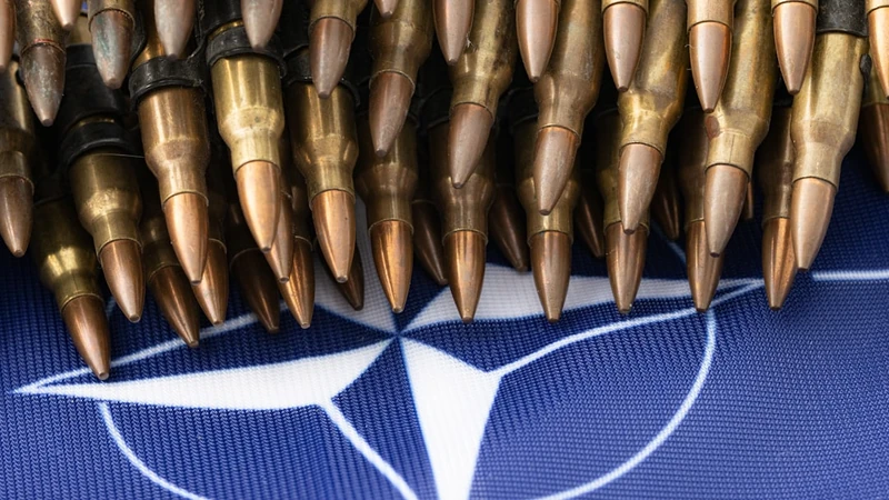 NATO Troops In Ukraine 'Legitimate Targets' Even If There For Peace Deal: Putin