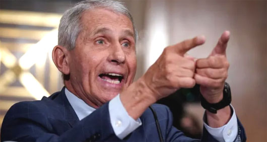 Emails: Fauci ordered NIH employees to destroy federal records
