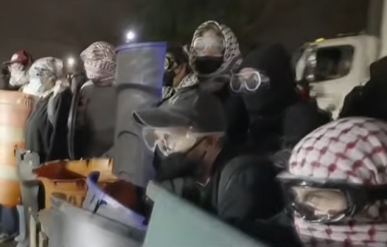 Homan: Same anti-ICE agitators turned up in NJ, Minnesota, Portland