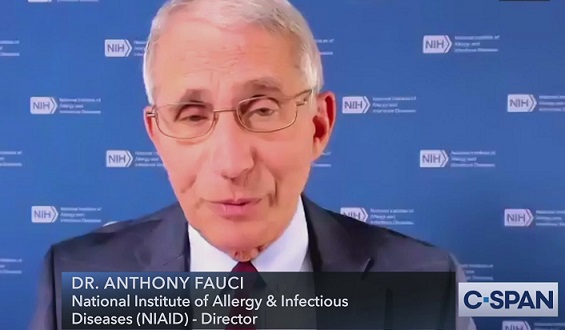 DNI Tulsi Gabbard’s last day: Fauci funded ‘gain-of-function research at the Wuhan lab’