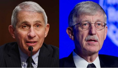 ‘Will come back to bite you’: FDA official warned Fauci, Collins to research vaccine side effects