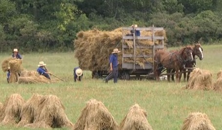 Amish exodus from New York over vaccine mandate?