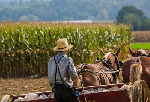 Police RAID Amish Farm!!!