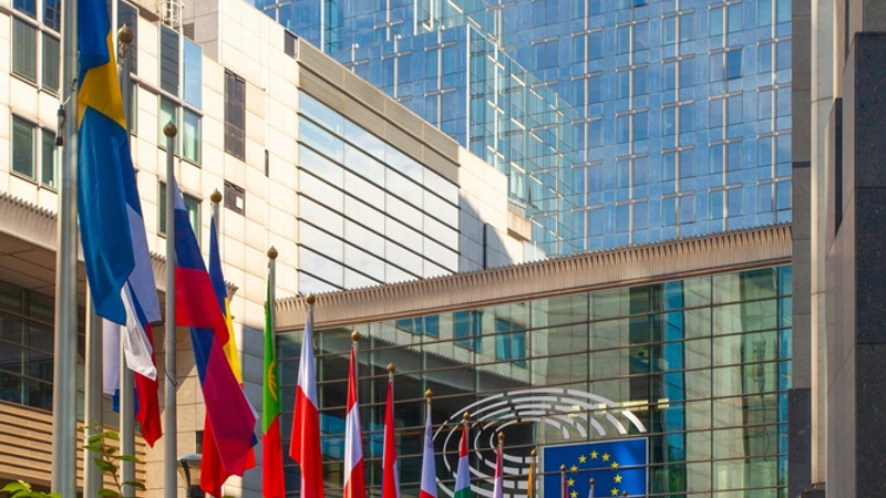 Ten Nations Defy EU: Migrant Policies Exposed! 