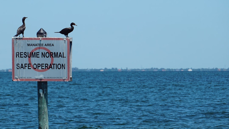 News from Around the Web for Oct 2, 2025