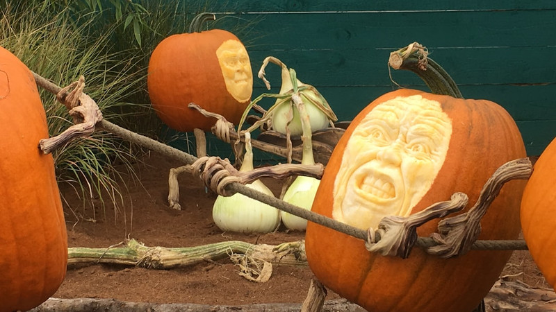 News from Around the Web for Oct 27, 2025