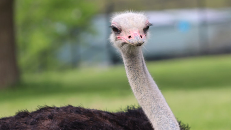 News from Around the Web for Nov 7, 2025