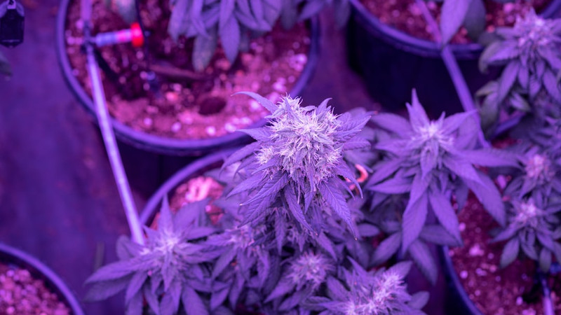 News from Around the Web for Nov 14, 2025