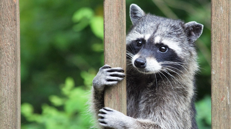 News from Around the Web for Dec 3, 2025