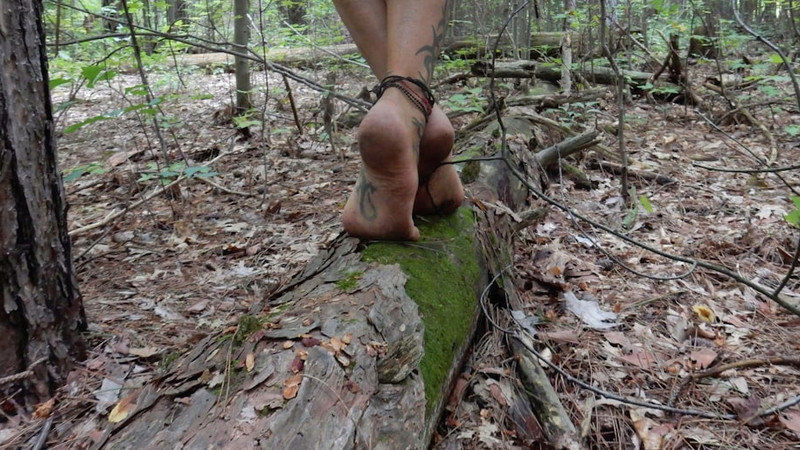 News from Around the Web for Dec 17, 2025