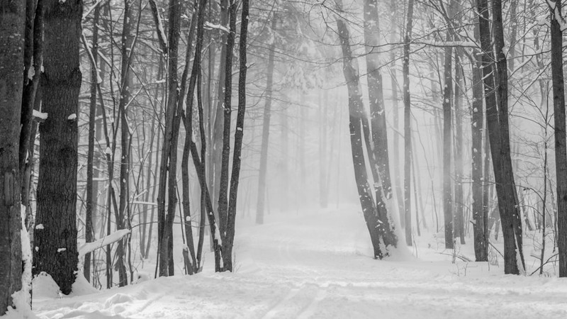 News from Around the Web for Jan 26, 2026