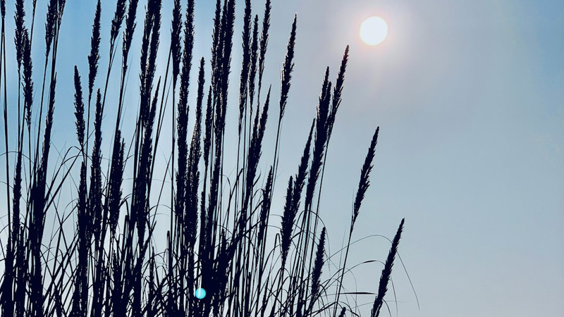 News from Around the Web for Mar 6, 2026