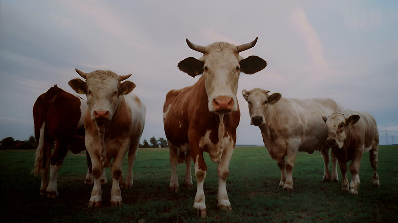 News from Around the Web for Mar 25, 2026