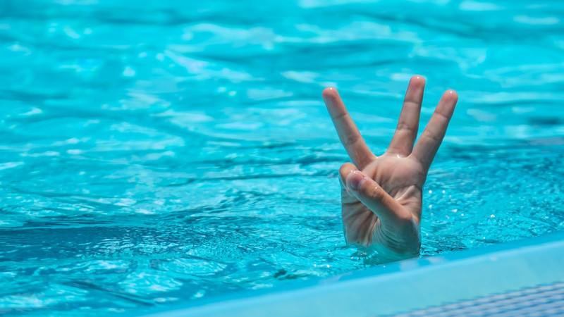 News from Around the Web for June 11, 2026