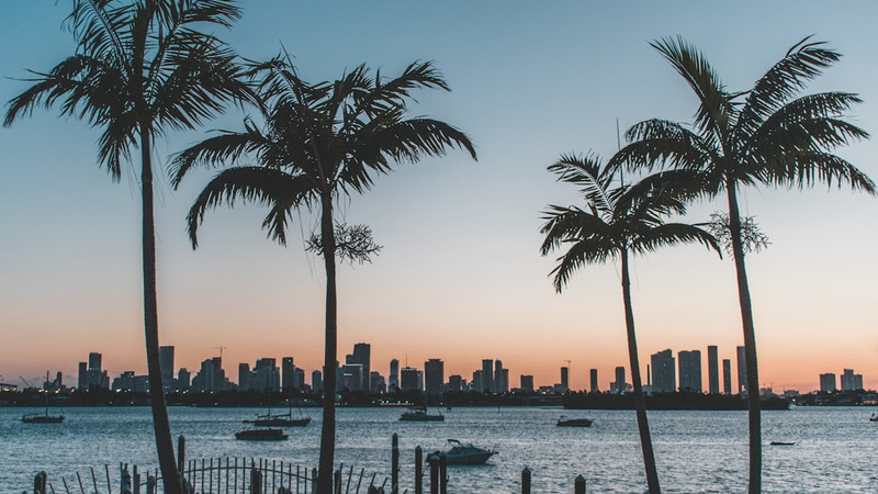 News from Around the Web for July 8, 2026