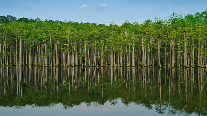News from Around the Web for July 14, 2026