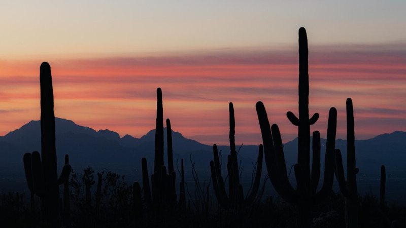 News from Around the Web for July 22, 2026