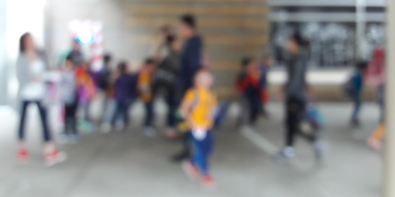 Chicago elementary school teacher mocks Charlie Kirk’s assassination during 'No Kings' protest