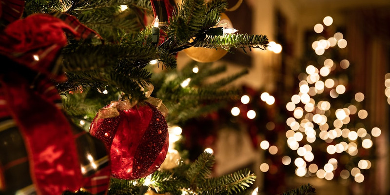 Portland hosts 'tree lighting ceremony' without mention of Christmas, speakers chant 'free Palestine'