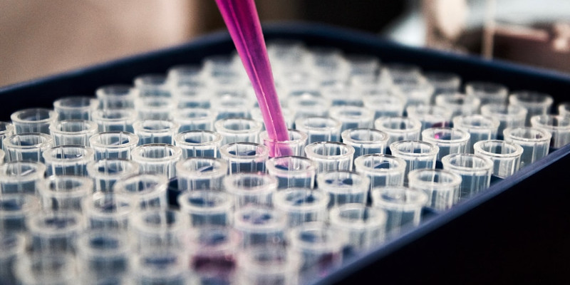 Gabbard releases intelligence showing federal government has funded 120 biolabs in 30 countries