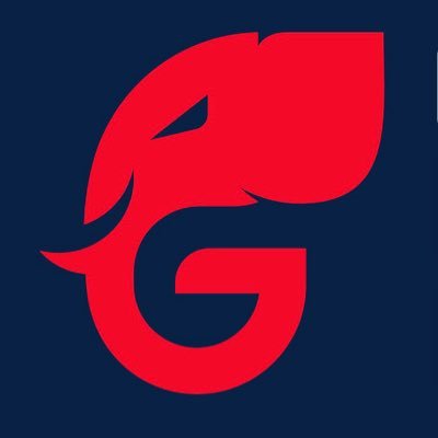 VFAF Issues Official Commendation to the Georgia Republican Party