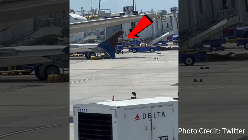 Photo: Incredible Swarm of Bees Attacks Delta Airlines Plane in Texas