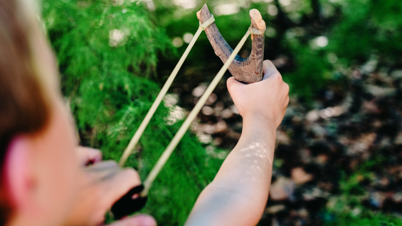 David vs Goliath: 13-Year-Old Boy Uses Slingshot to Stop Man From Kidnapping His Younger Sister