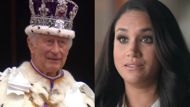 Royal Families Reaction to Harry and Meghan’s “Catastrophic Car Chase” Says It All…