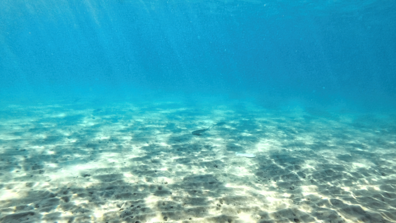 Man Returns 10-Years YOUNGER After Spending 93 Days at the Bottom of The Ocean