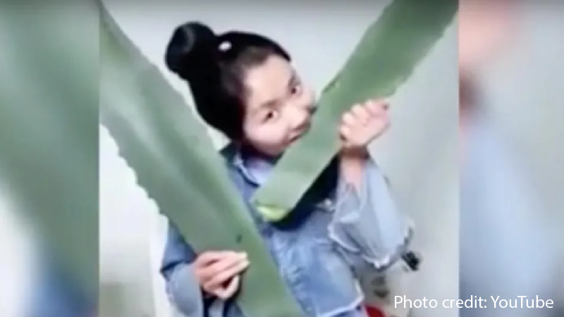 Vlogger Tries to Show “Health Benefits” of Aloe Vera, But Accidentally Poisons Herself On Camera