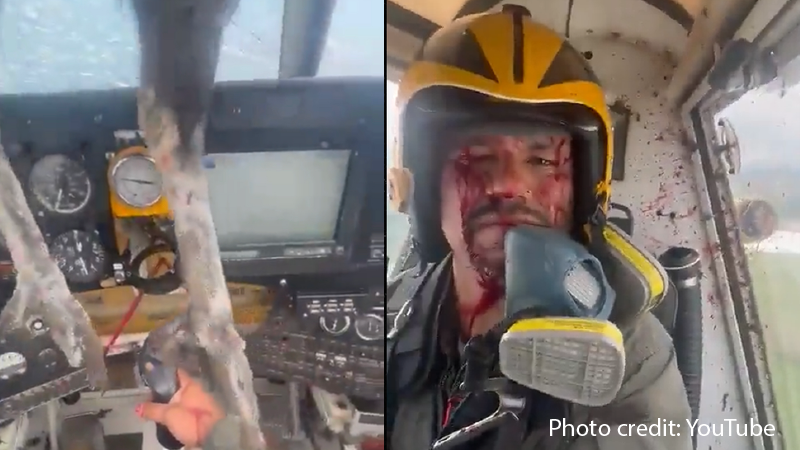 Watch: Blood-Soaked Pilot Keeps Flying Plane After Bird Crashes Through Windshield