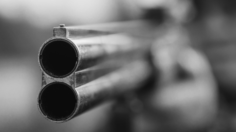 Dad Shoots And Kills Intruder Who Attacked His Young Daughter on Father’s Day