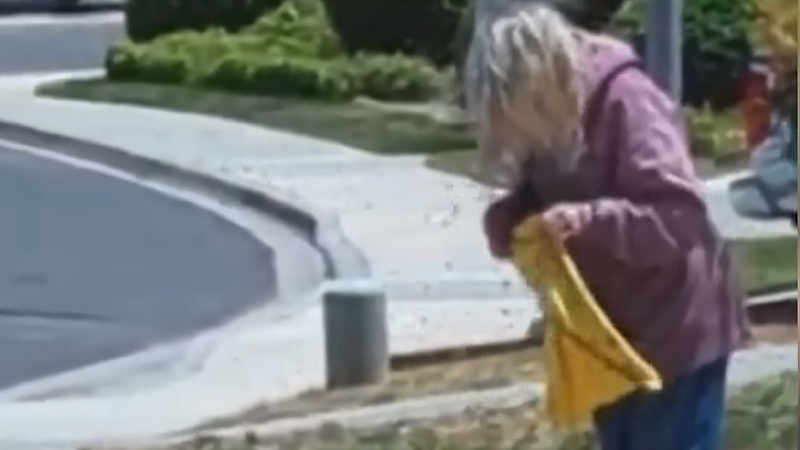 [VIDEO] CA Woman Stung Over 1000 Times By Thousands of Angry Bees - Collapses From Attack Before She Can Reach Safety