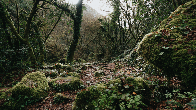 Hikers Hear Screams, Discover Woman Who Was Stuck in the Mud For 3 Days