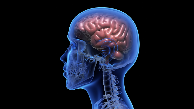 Researcher Operated On Himself at Home and Placed a Chip Into His Brain to Control His Dreams