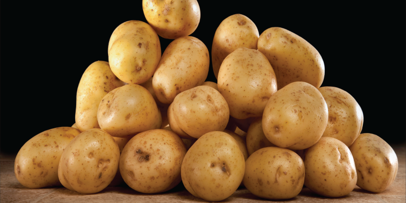 'Acne' is Popping Up on U.S. Potatoes