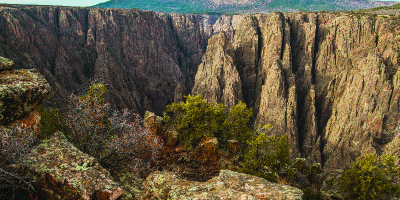 Family Living Off Grid Dies of Starvation…Teenage Boy Was Only 40 Pounds