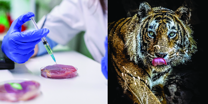 Here’s Your Chance to Find Out What Lion Burgers, Tiger Steaks and Wooly Mammoth Meatballs Taste Like