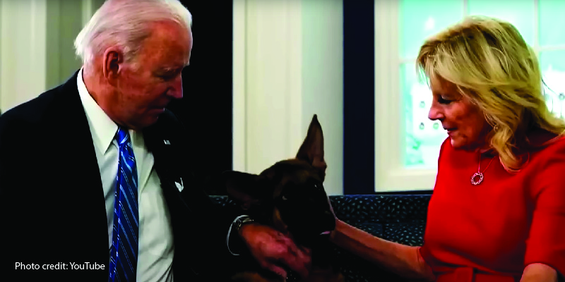What Kind of Wretched Dog Owner Is Biden? -  His New Dog Just Bit His 11th Secret Service Agent