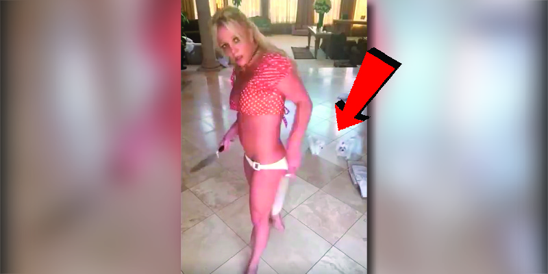 [WATCH] Britney Spears Fans Demand Her Dogs Be Taken Away After Her Latest Bizarre Video
