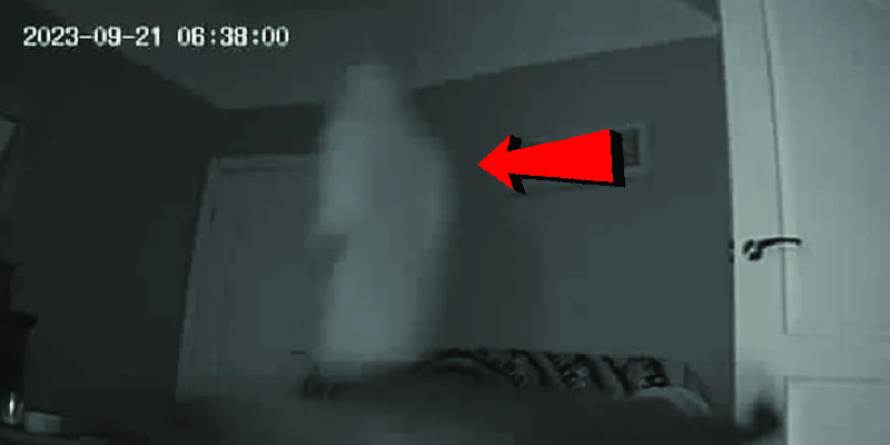 Doggie Cam Captures Ghostly Figure On Film And One TERRIFIED Dog