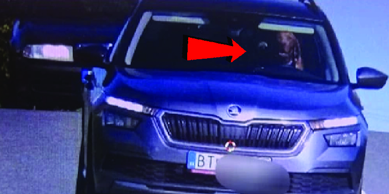 Look: Motorist Fined When Speed Camera Catches a Dog Seated Behind the Wheel of his BMW