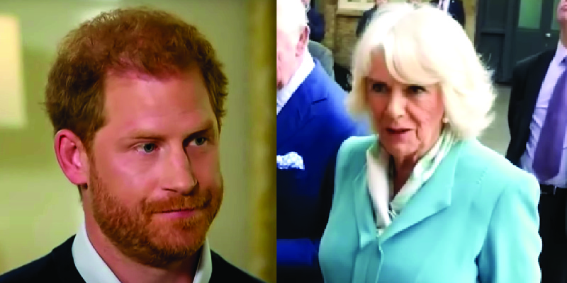 Camilla is The Reason Harry and Meghan Won’t Be Reuniting with Royals